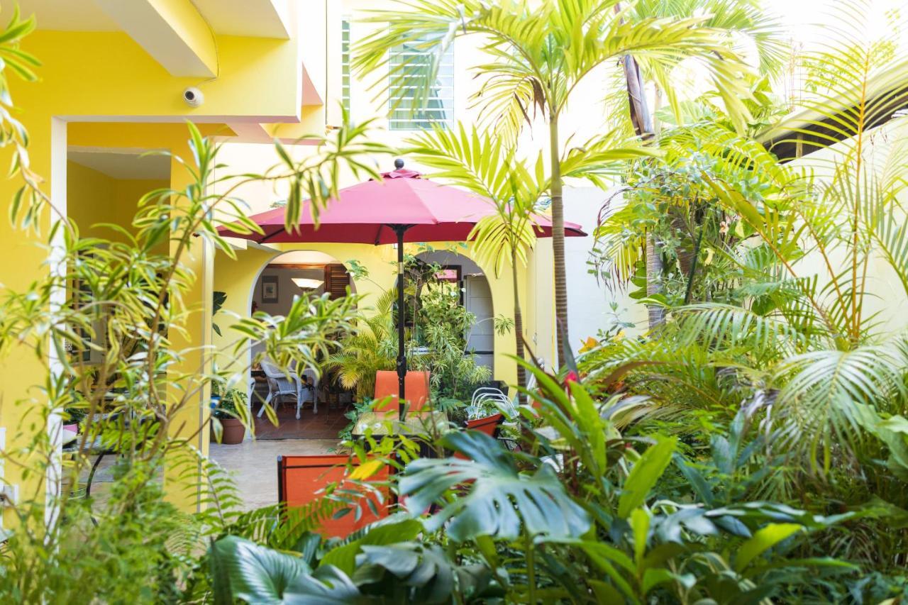 Andalucia Guest House San Juan Exterior foto