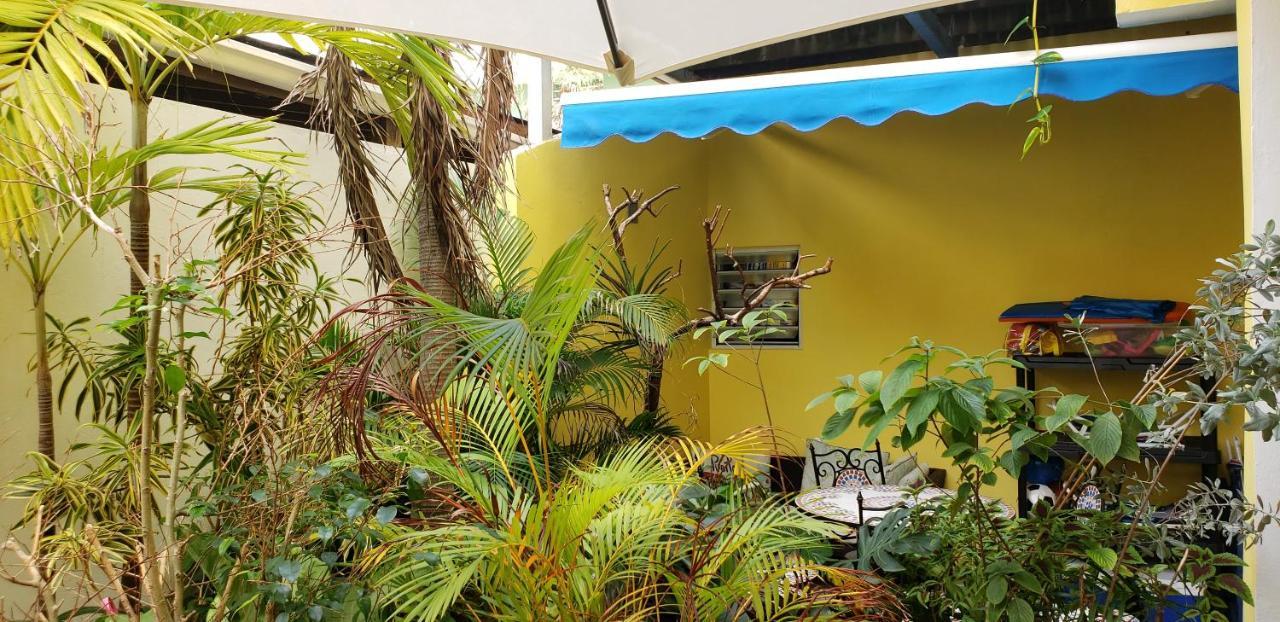 Andalucia Guest House San Juan Exterior foto